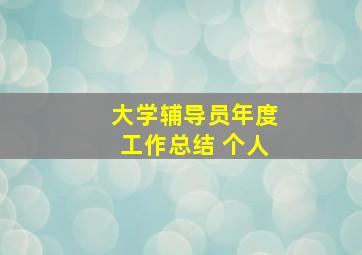 大学辅导员年度工作总结 个人